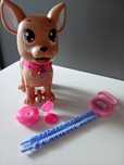Chi chi love Poo Poo puppy