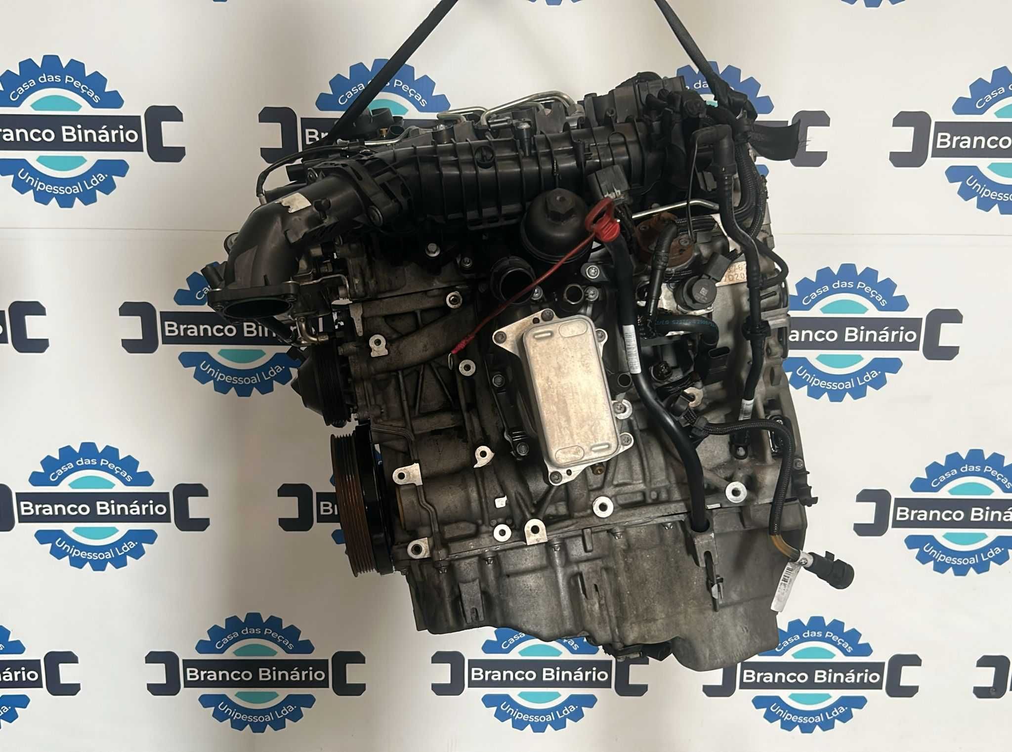 Motor BMW 320 184 cv (n47d20c)