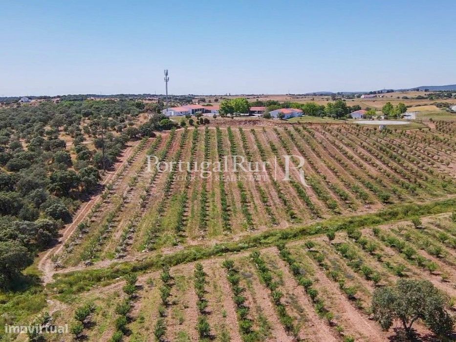 Terreno com 4ha com aptidão para construção de unidade de turismo