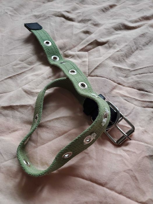 Ошийник для песика. Ошейник для собаки