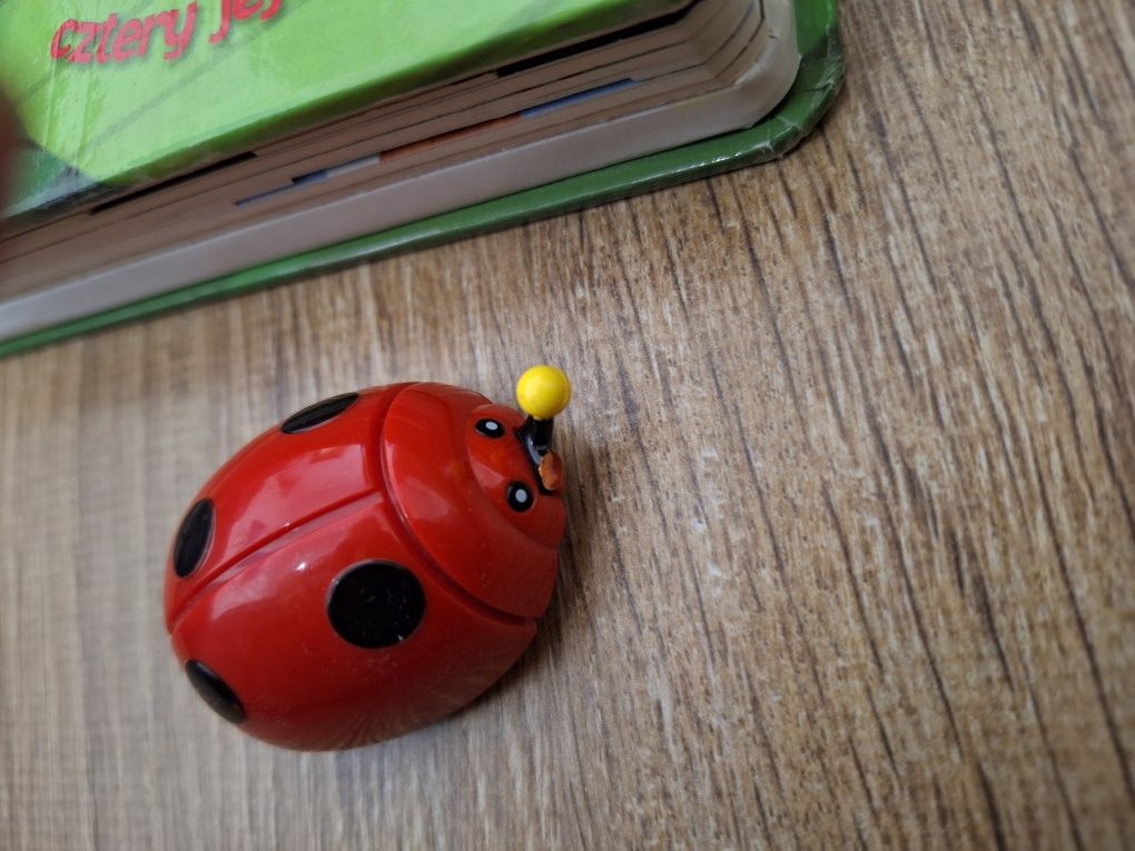 Książeczka Wędrującą biedroneczka biedronka 4 trasy