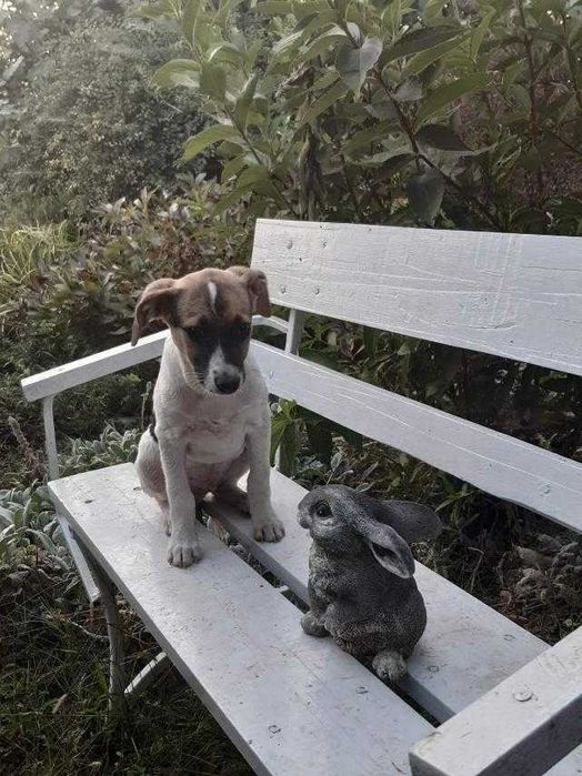 Славная девчушка ждет свою семью