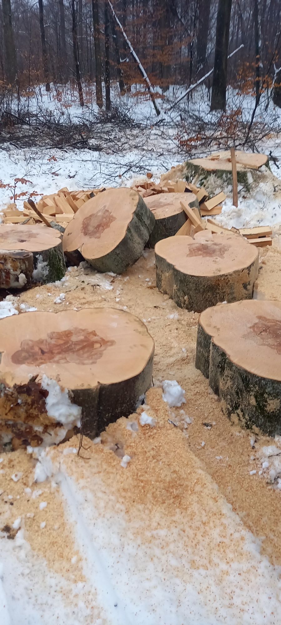 Продам Дрова колоті