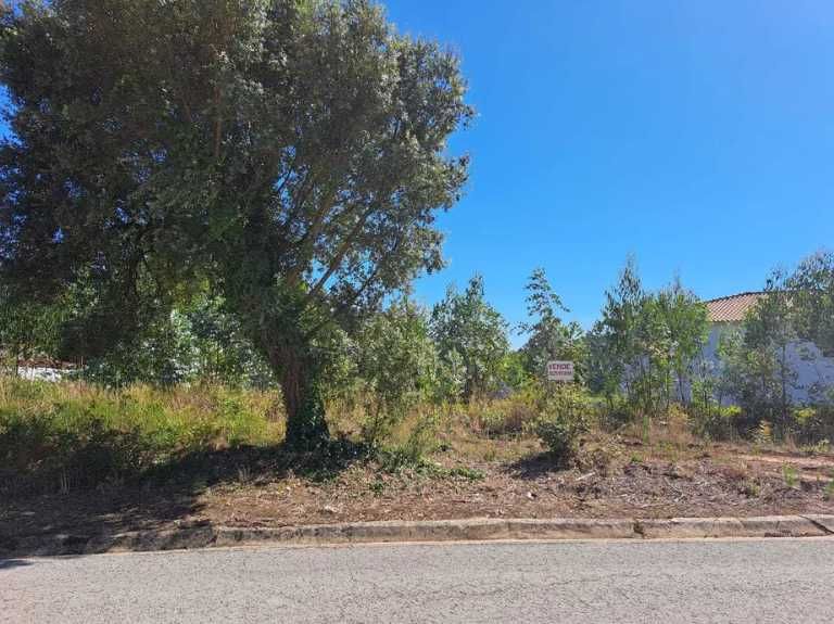 Terreno para Construção perto de Fátima