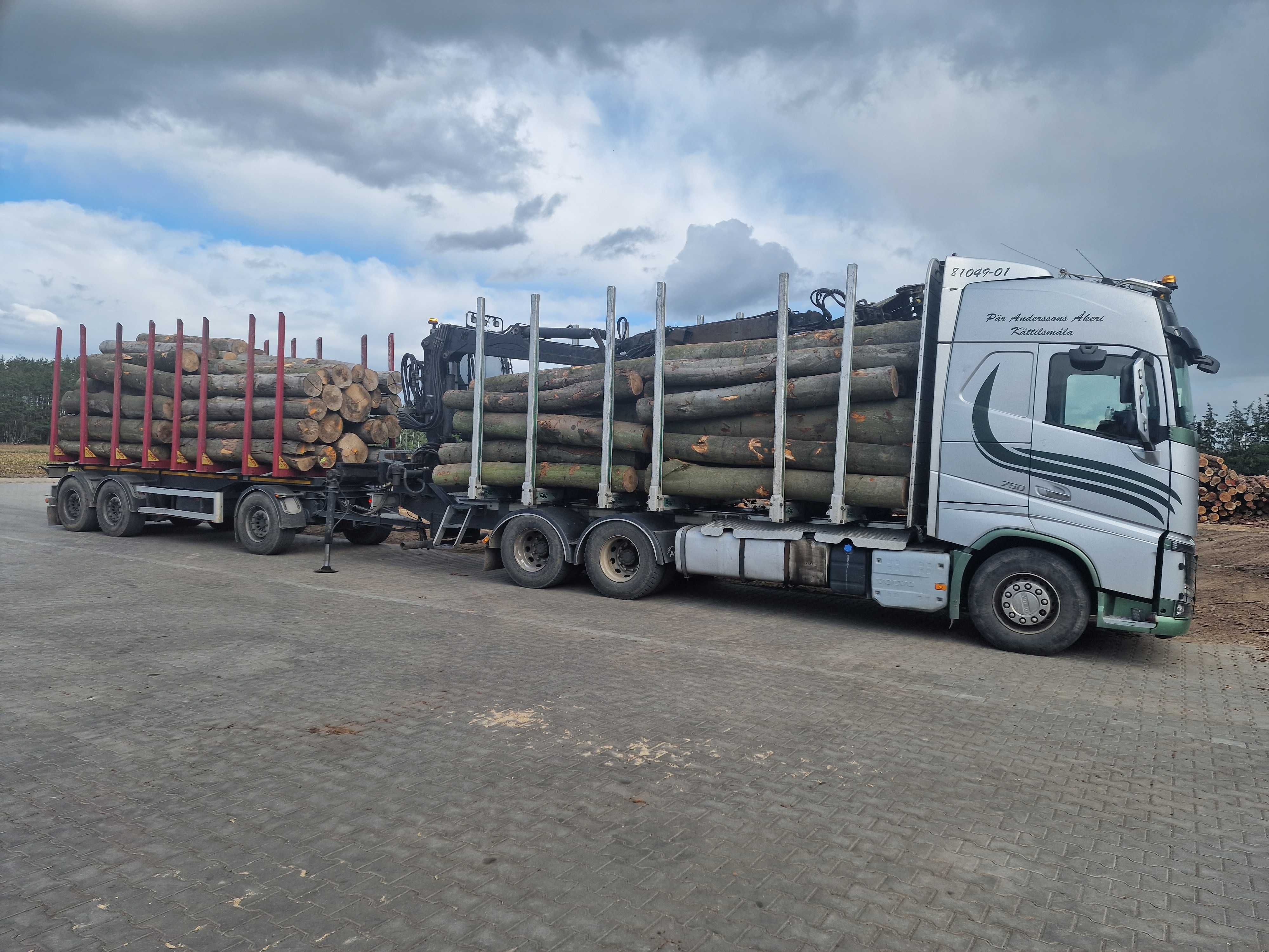 DrewKom Drewno kominkowe BUK w kłodzie dl. 2,5m S2a S2b transport HDS