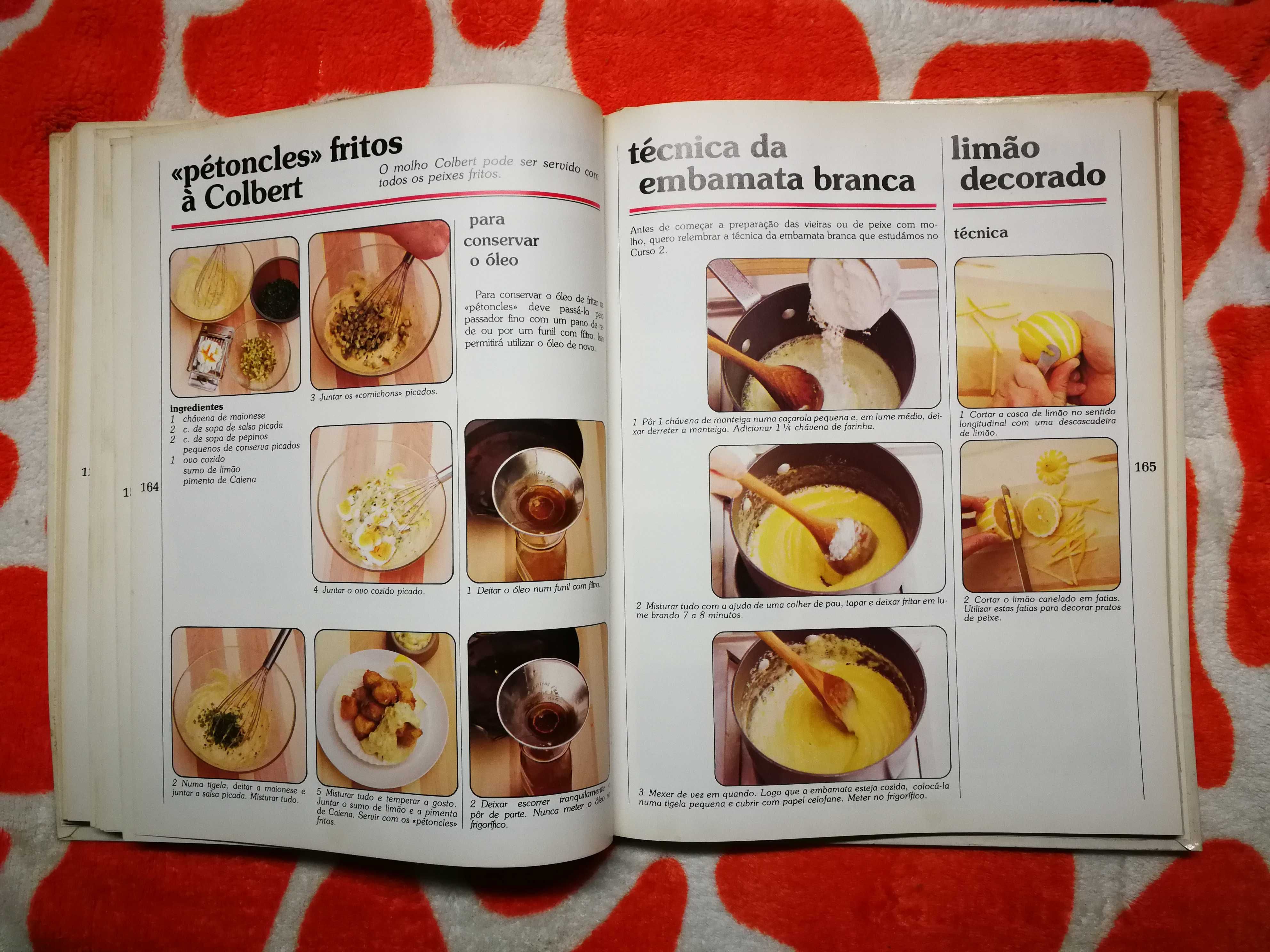 Curso intensivo de cozinha por chefe Pol Martin 4 volumes