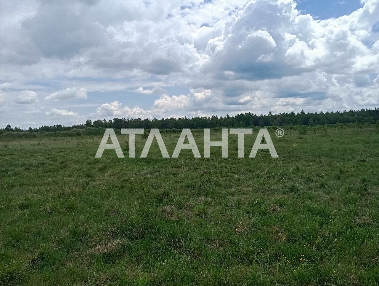 Продаж земельної ділянки у Жовсківському районі, с.Кунин