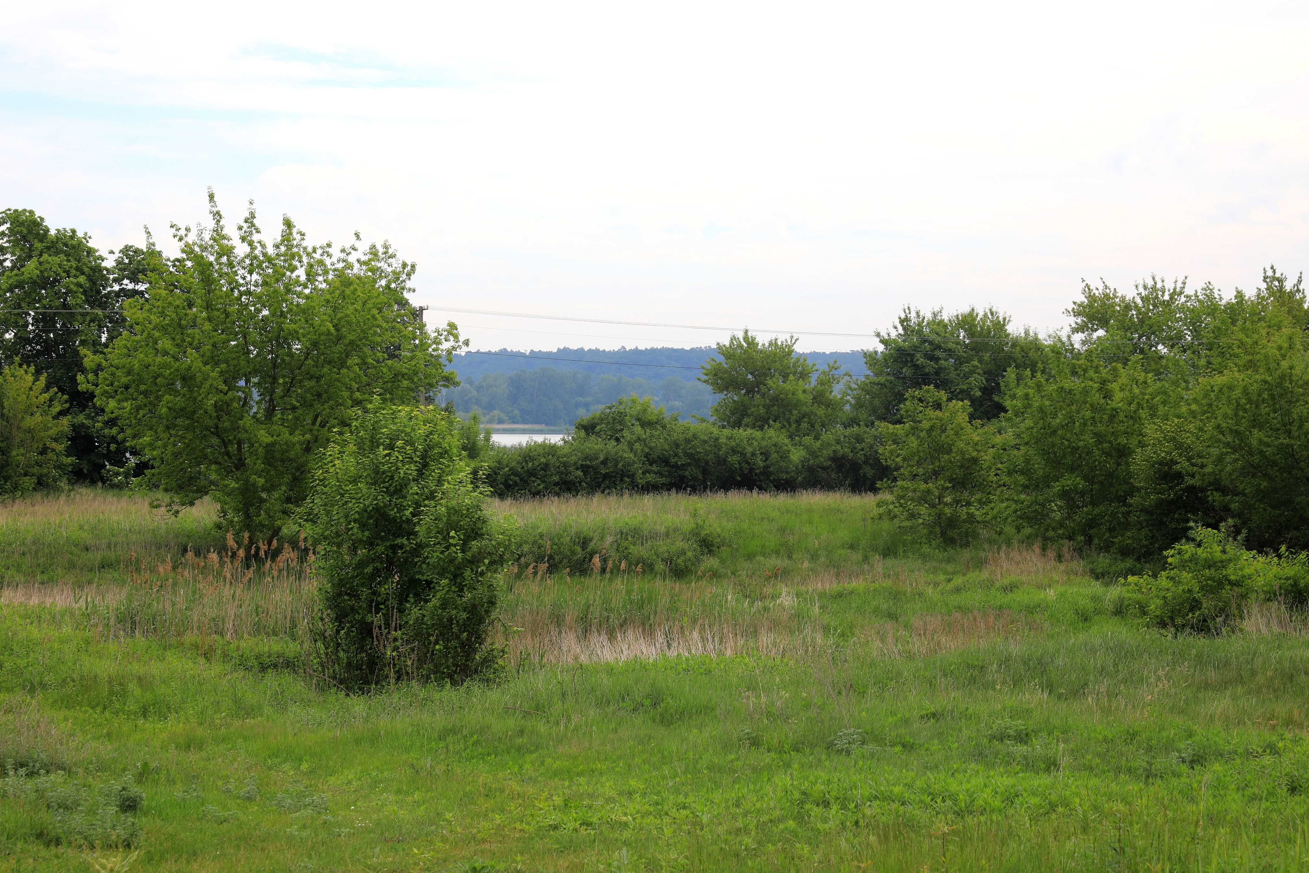 Dom-winnica do odbudowy z panoramą Wisły