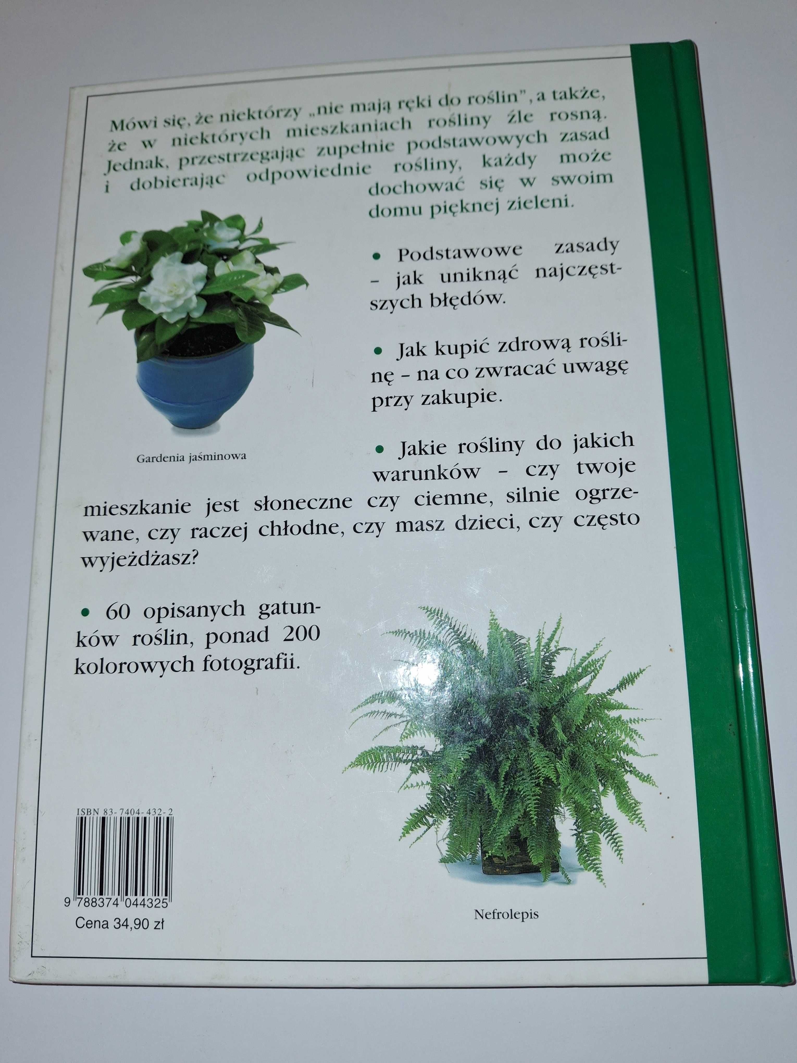 Rośliny doniczkowe Marie Berthelot ,poradnik roślin doniczkowych.