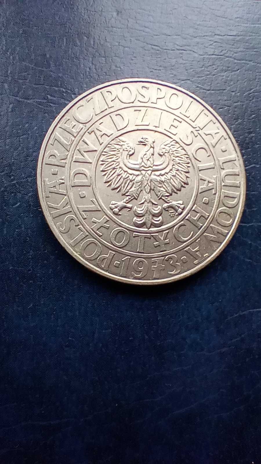 Stare monety 20 złotych 1973 PRÓBA Drzewo PRL Piękna