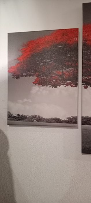 Quadro de decoração 1,62×80