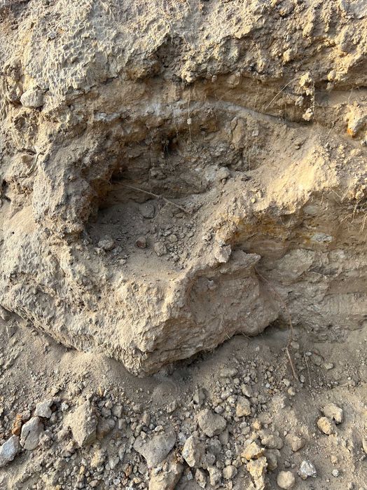 Oddam ziemię, piaszczytsa, gliniasta za darmo