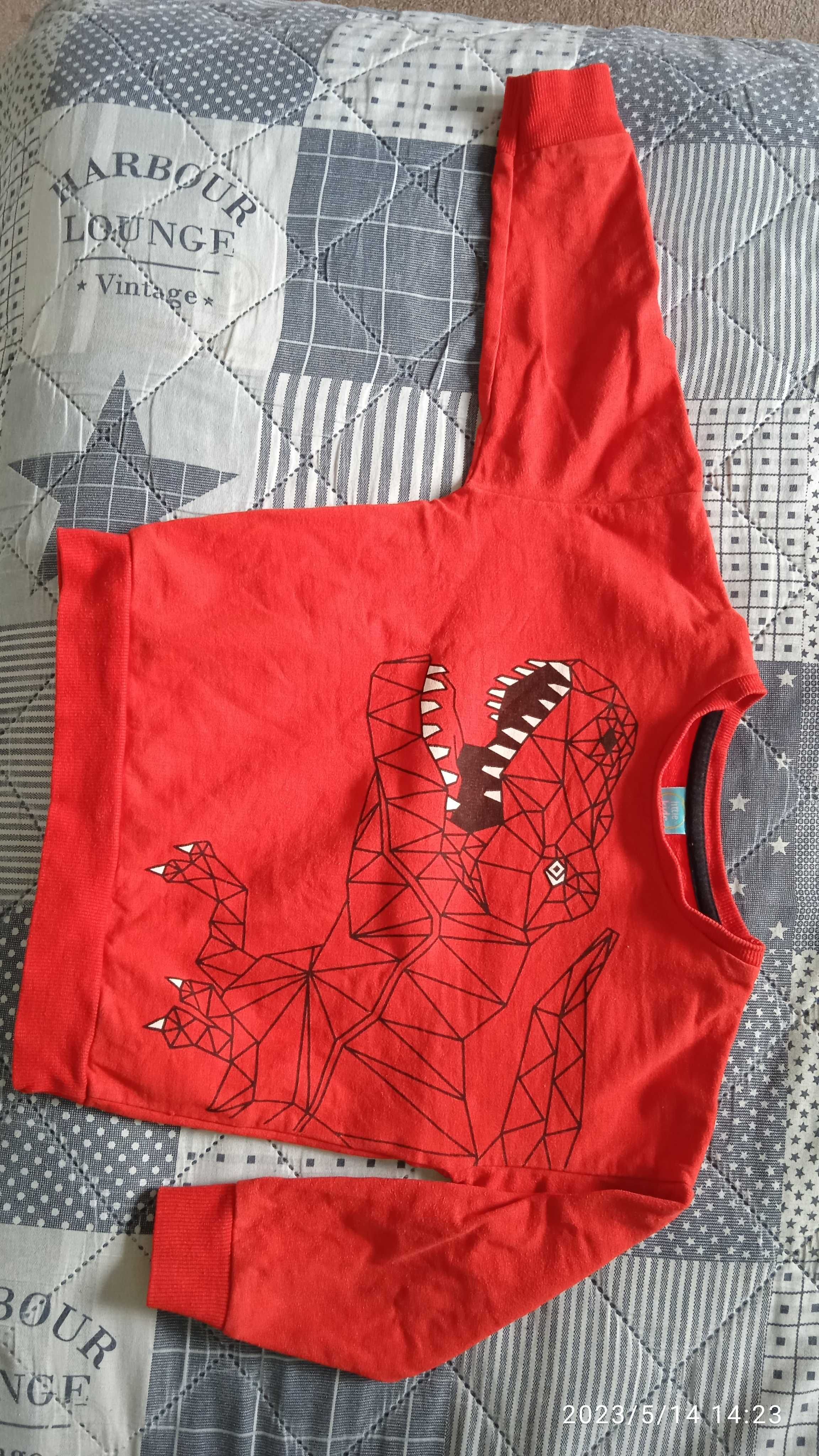 Bluza dinozaur 104 Pepco ciepła Łódź Radogoszcz