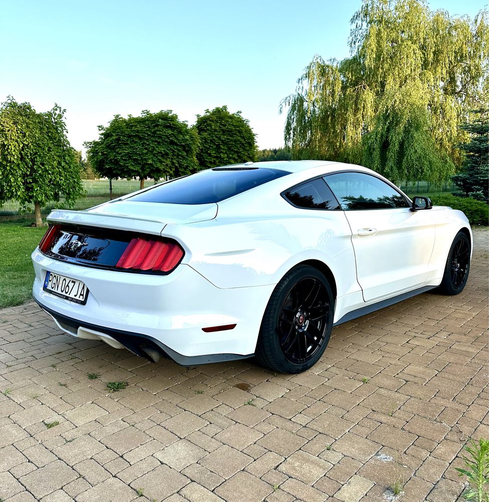 Mustang coupe wypozyczalnia aut wynajem promocja 30 dni 5900z Fv