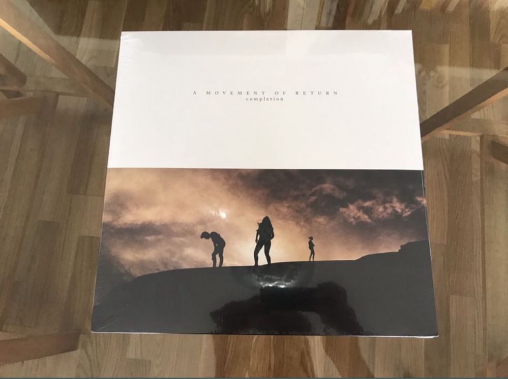 The Sound Shock Of Daylight - A Movement of Return Completion LP Vinil