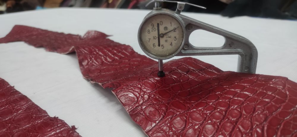 Шкіра Нильського крокодила Кожа натурального крокодила 600 грн