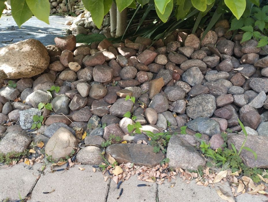 kamienie polne, oddam za czekoladę