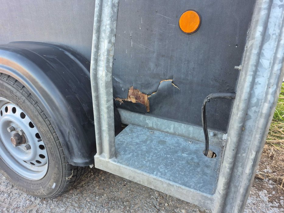 Przyczepa do przewozu koni Weijer DMC 1300