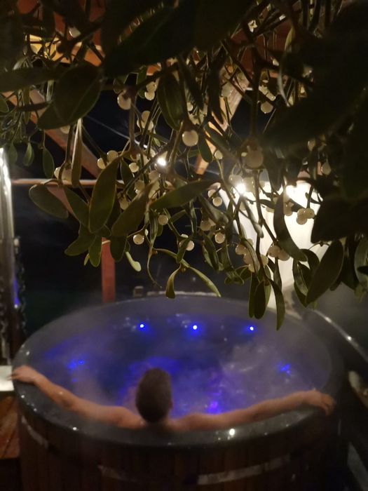 "Zaplecze Lasu" Domek całoroczny z Balią, drewniane domki jacuzzi