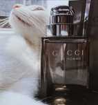 Woda toaletowa Gucci Classic Men 90ml