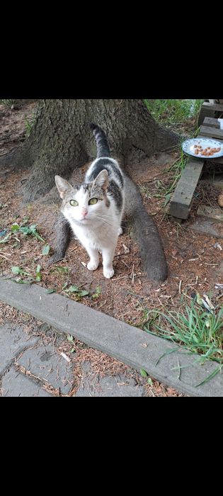 Dom potrzebny przed zimą