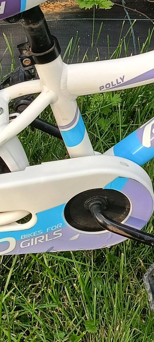 Rower Kross Polly