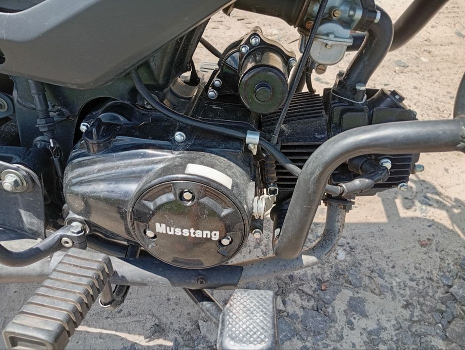 Mustang 125 Fit 2024