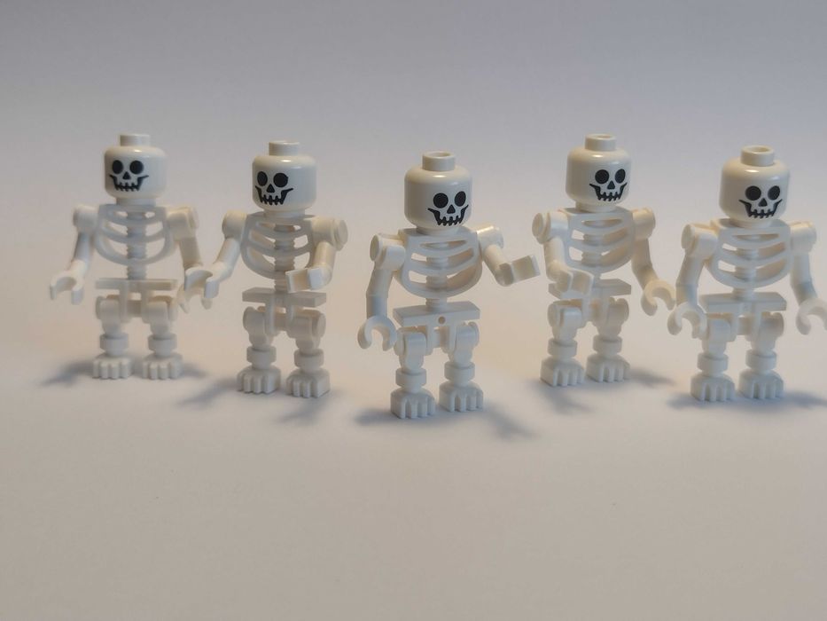 Pakiet 5 szkieletów Lego