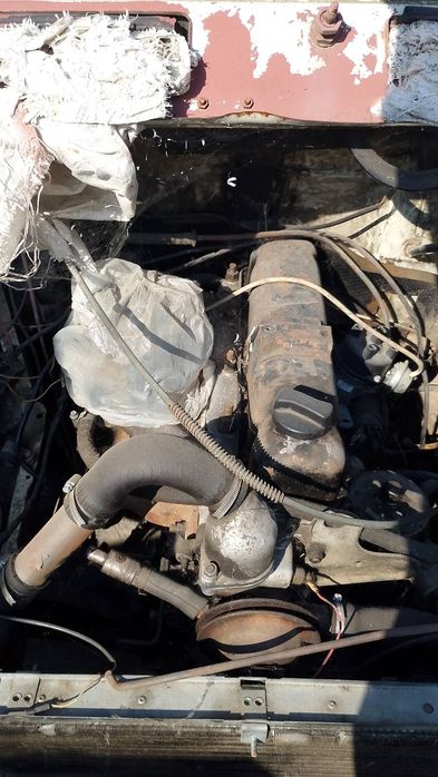 Продам газель(соболь)