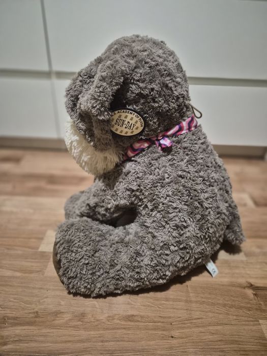 Sun-Day Pies z głosem pluszak 45 cm