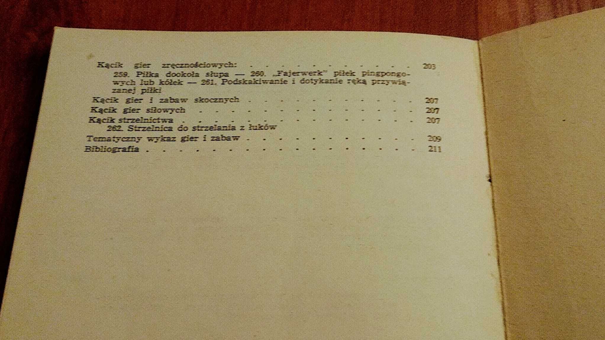 Gry i zabawy na placówkach wychowania pozaszkolnego Felistak