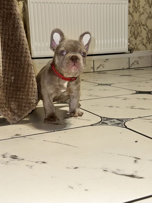 Супер якість хлопчик