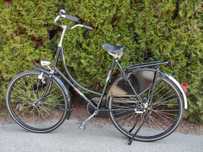 Rower Holenderski Pointer