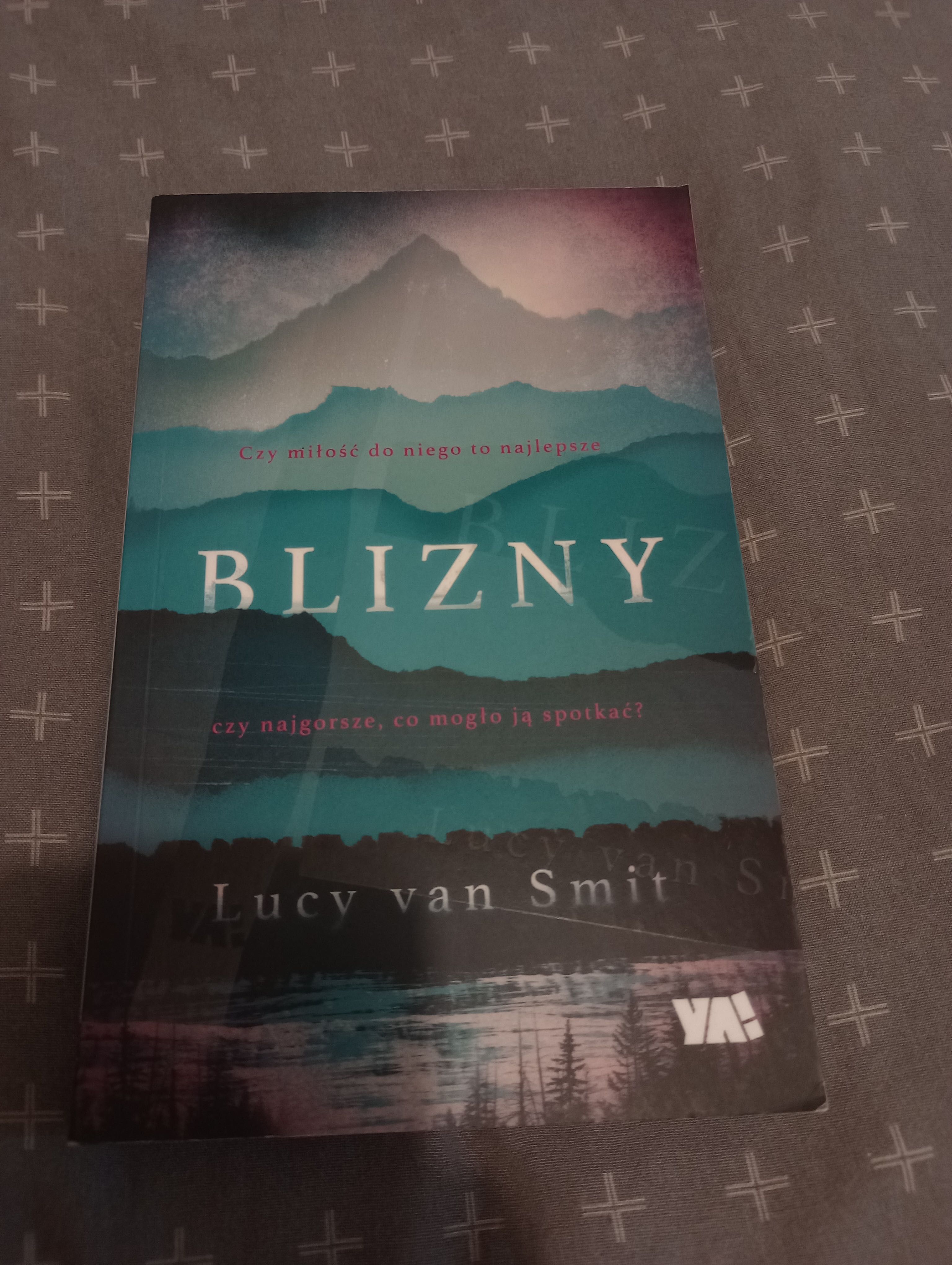 Blizny - Lucy Van Smit