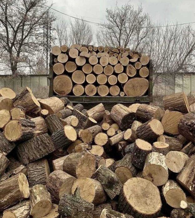 Дрова дуб/береза/тополя/сосна! Доступна ціна ! Якісно