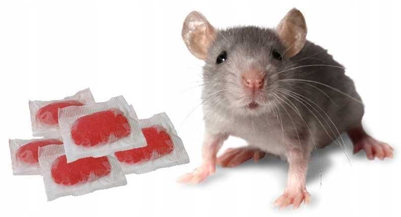 Bros - Pasta Na Myszy I Szczury 1Kg