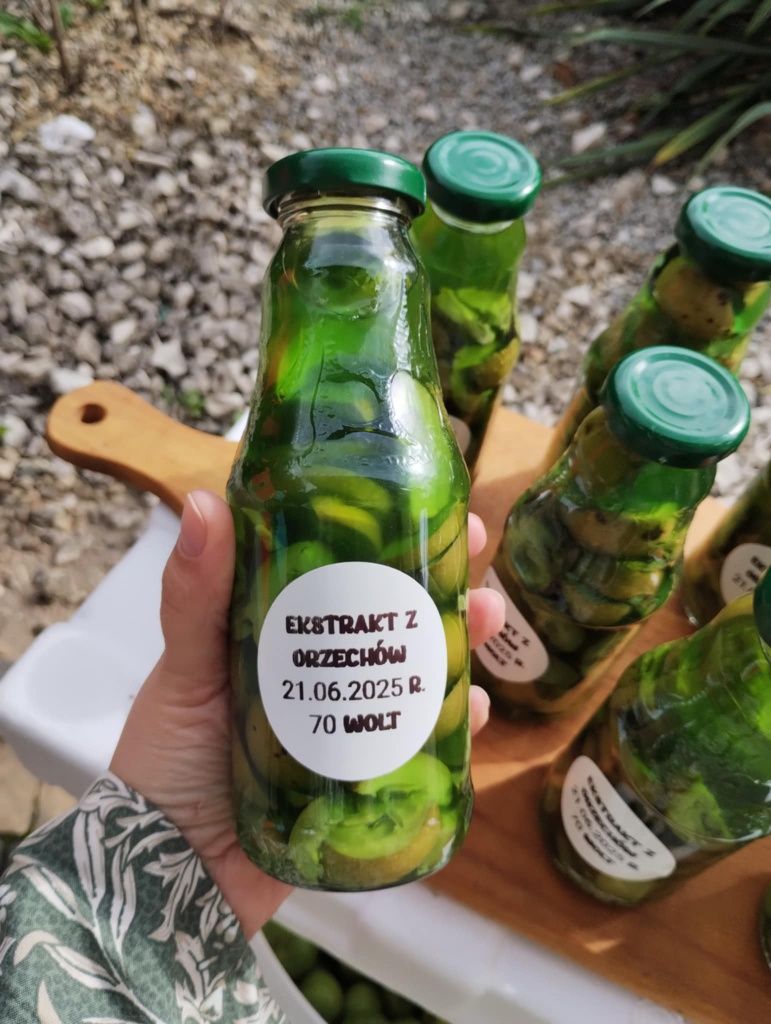 Ekstrakt z młodych orzechów włoskich 330ml