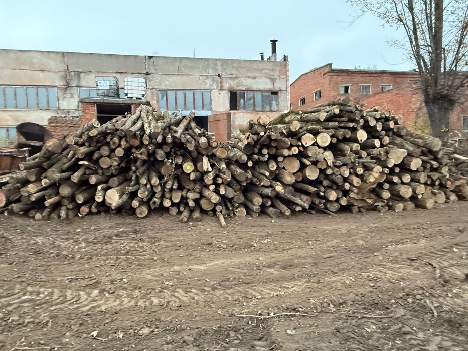 Дуб ясень акация и другие твёрдые породы