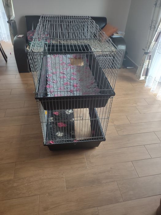 Duża klatka piętrowa 120 cm x 60 cm dla świnki morskiej, królika