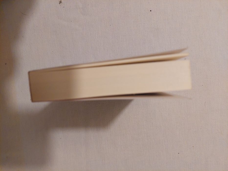 Livro "O anjo caído"