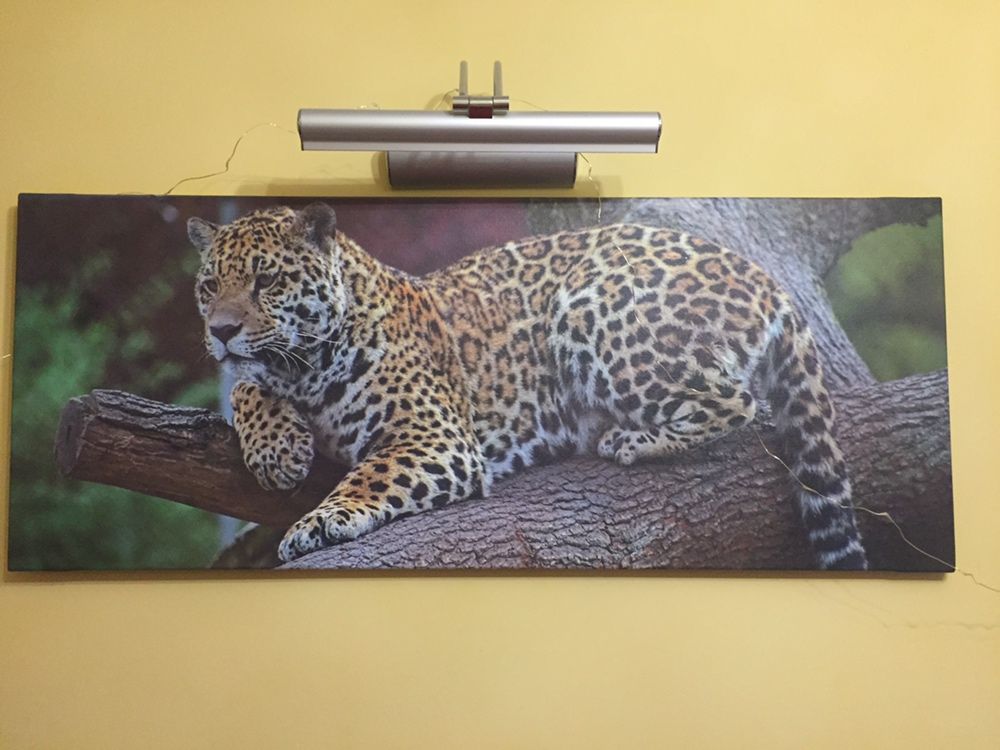 Obraz pantera 40x100