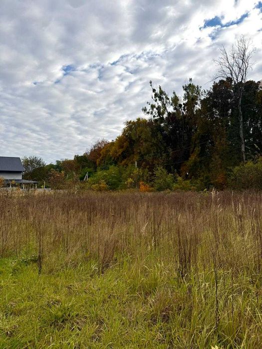 Продаж земельної ділянки по вул.Лукасевича, Львів,Шевченківський район
