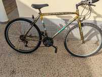 Bicicleta montanha