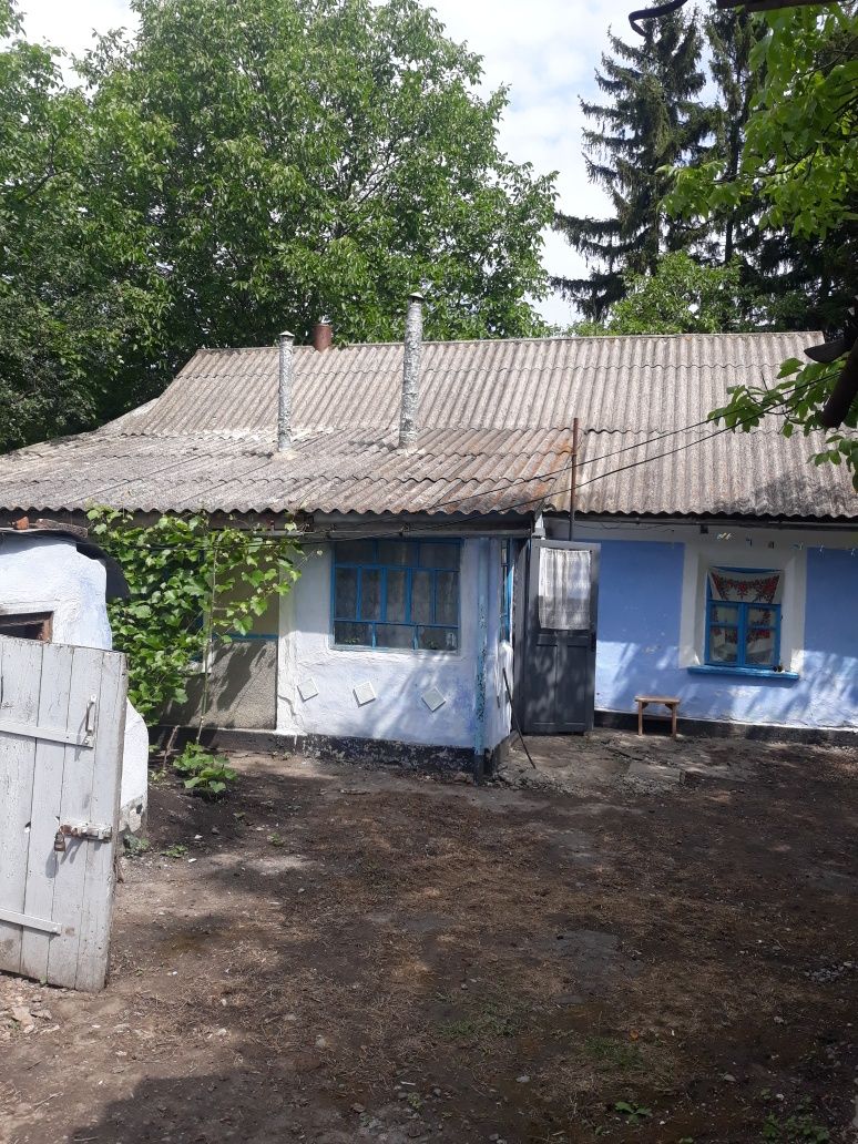 Дім. Будинок. Квартира