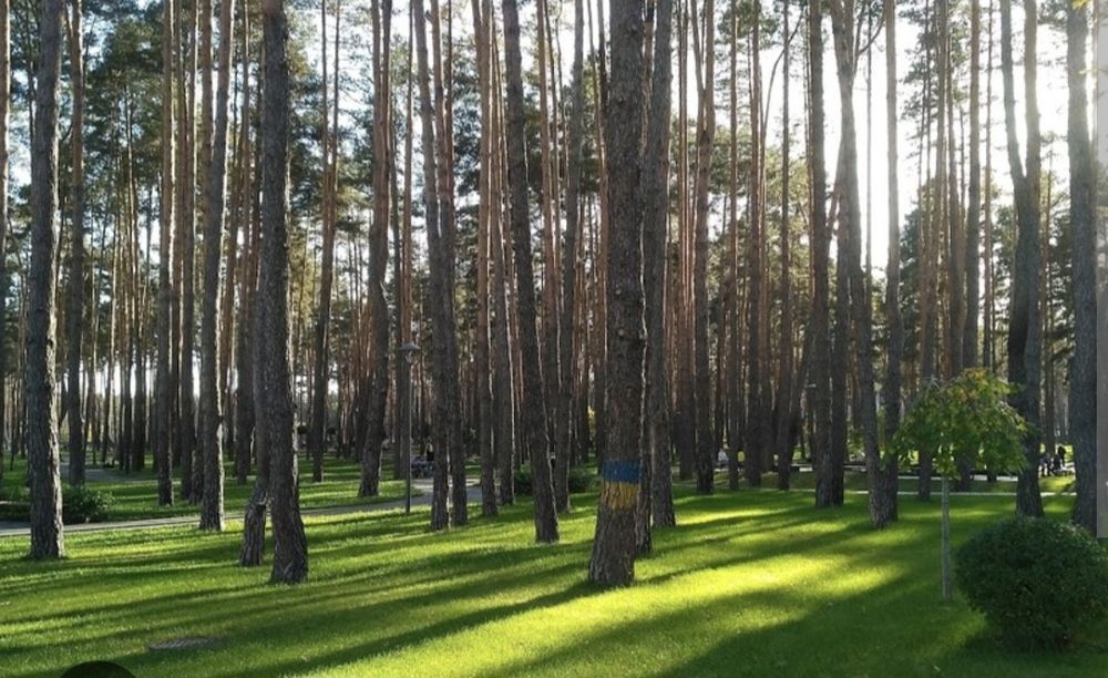 ЦЕНТР! МІСТО ІРПІНЬ Оренда євро-2х кім квартири 53м2