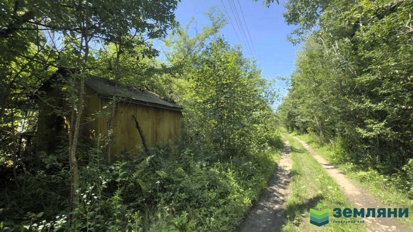 Продається дачна ділянка 6 сот у Микитинцях (7)