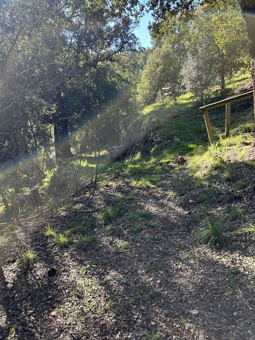 Quinta ecologica / eco farm Oleiros