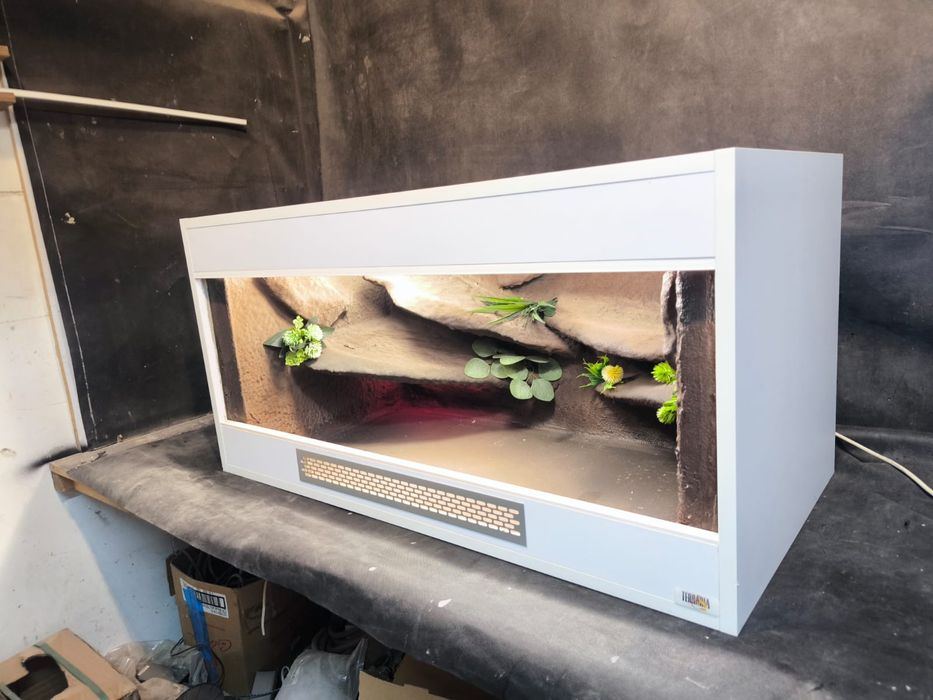 Terrarium pustynne dla gekona lamparciego agamy  PROMOCJA BLACK WEEK