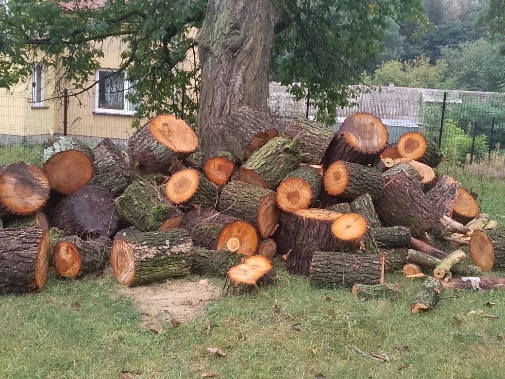 Olszyna podsuszoną  sprzedam 200 zł za metr
