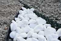Biały Kamień Ogrodowy Otoczak Śnieżnobiały Grys 1-2, 2-4, 4-8, 3-6 cm